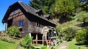 EXCURSION AL PARQUE PUYEHUE Y TERMAS DE AGUA CALIENTE, Puerto Varas, CHILE