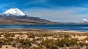 PARQUE NACIONAL LAUCA - LAGO CHUNGARA, Arica, CHILE