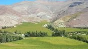 Excursion al Valle del Elqui, La Serena, CHILE