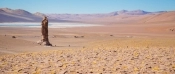 La Ruta de los Salares, San Pedro de Atacama, CHILE