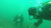 BUCEO EN ARRAIAL DO CABO, Buzios, BRASIL