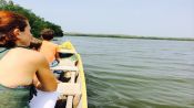 Tour por los manglares de Boquilla, Cartagena de Indias, COLOMBIA