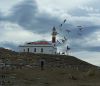 PUNTA ARENAS Y PINGUINOS