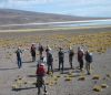 SAN PEDRO DE ATACAMA Y SUS ALREDEDORES