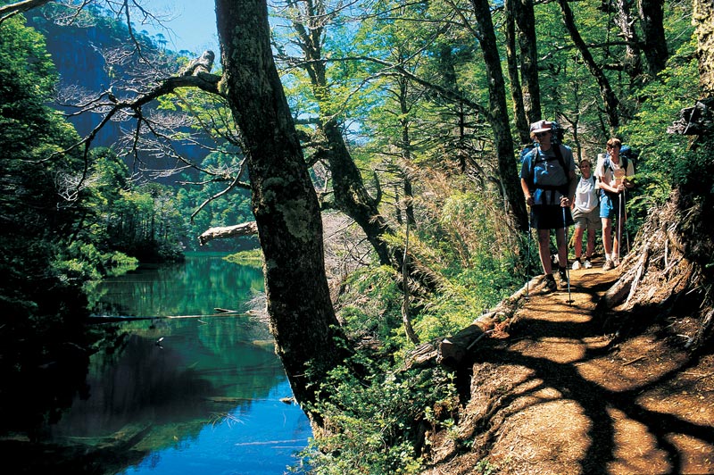 TREKKING PARQUE NACIONAL HUERQUEHUE, Pucon, CHILE