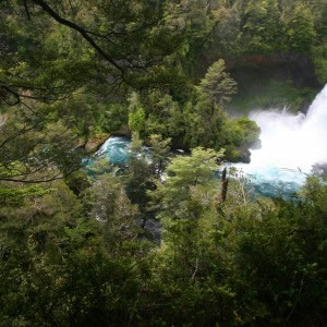 Huilo Huilo en el Corazón de La Selva Patagónica